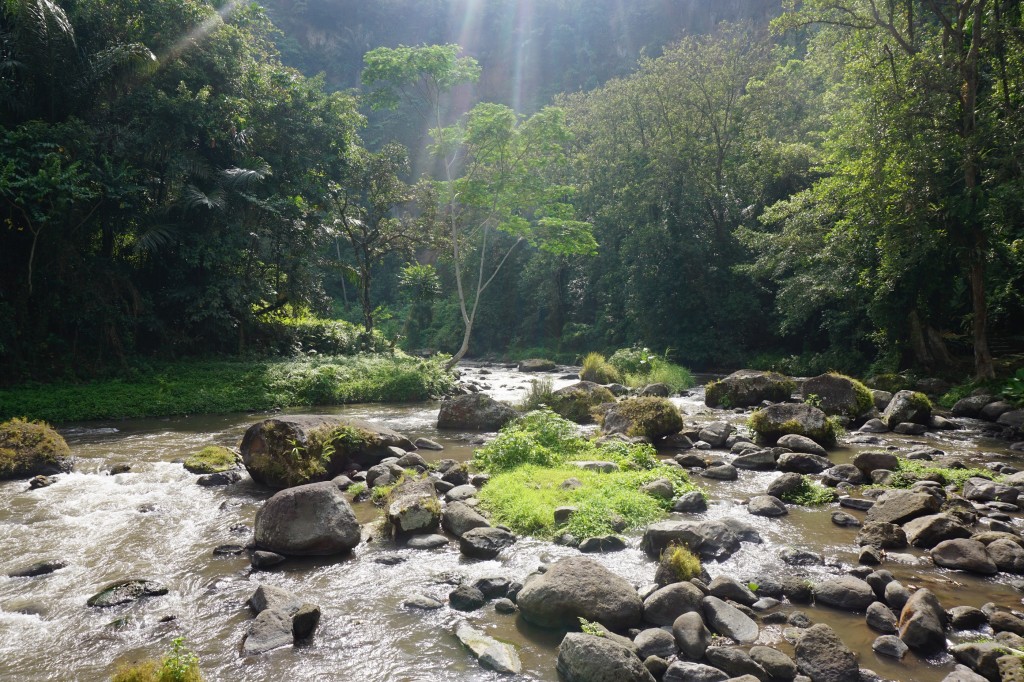 Ayung Nehri, Ubud